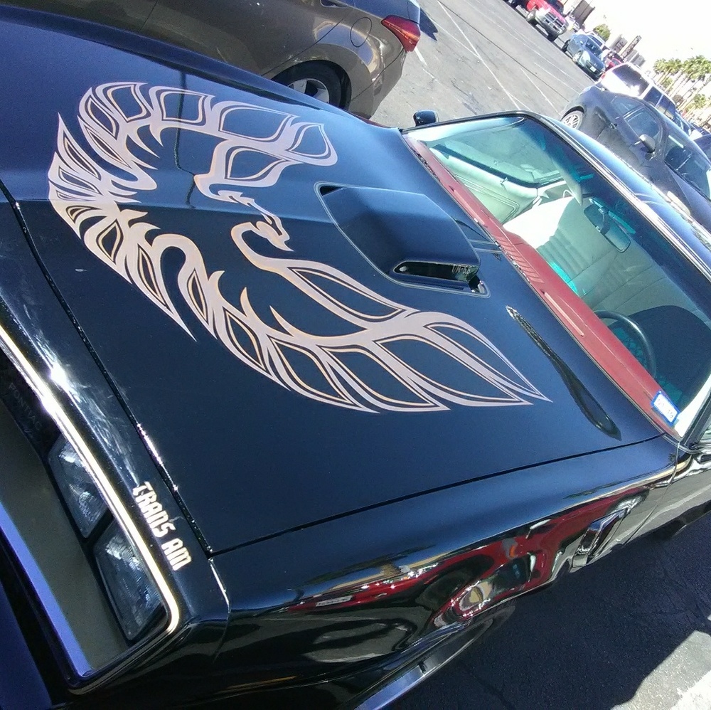 Meet your Posher, Alfred